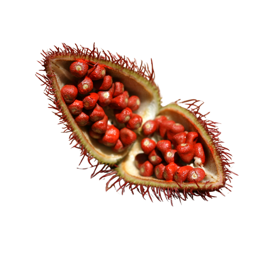 Achiote Seed Extract