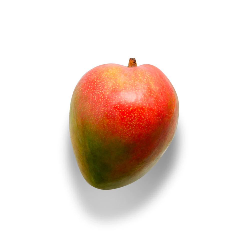 Mango Fruit