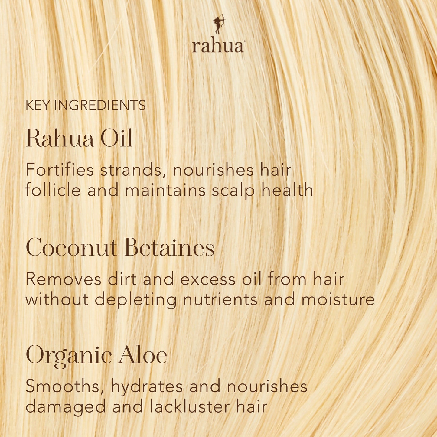Key ingredients infographic