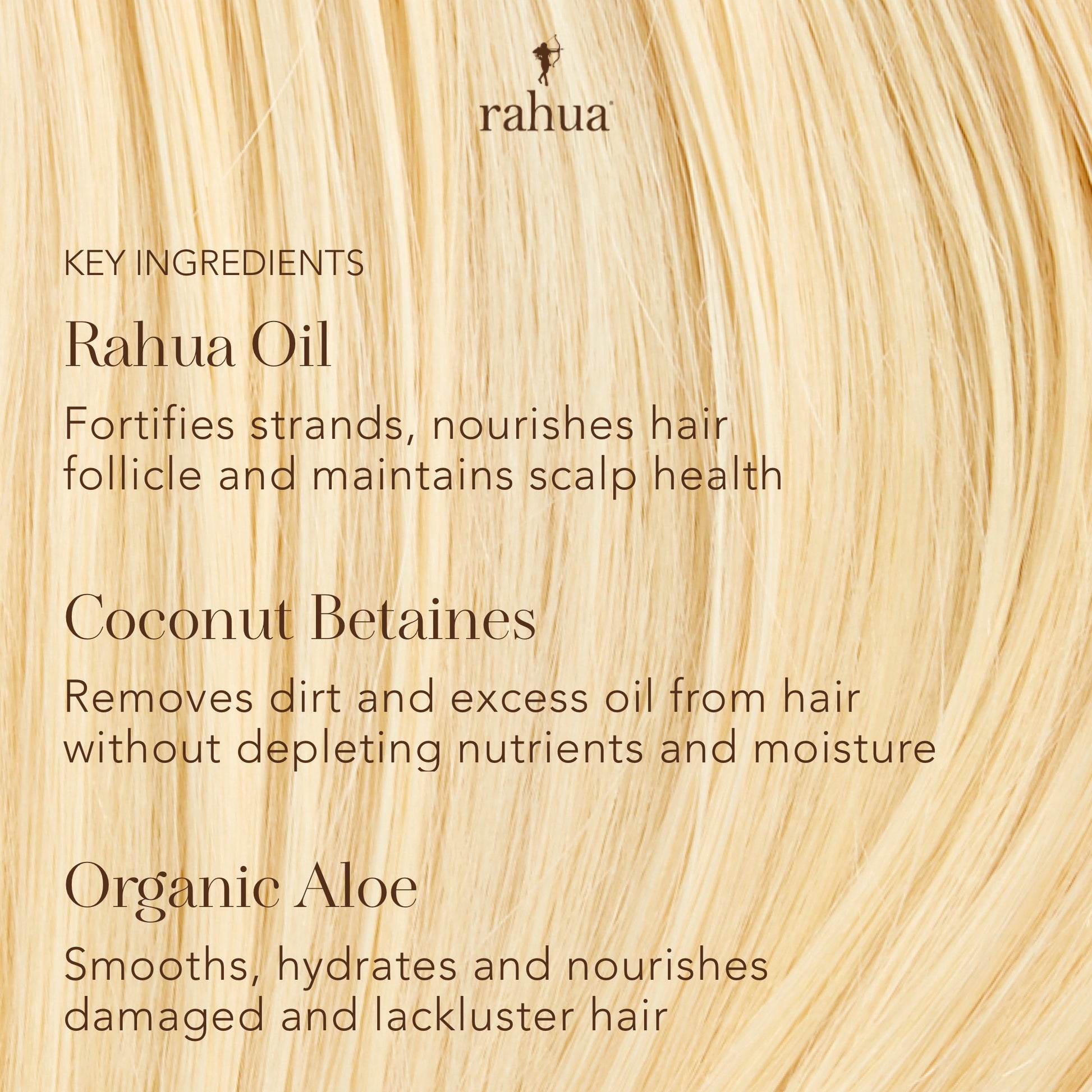 Key ingredients infographic