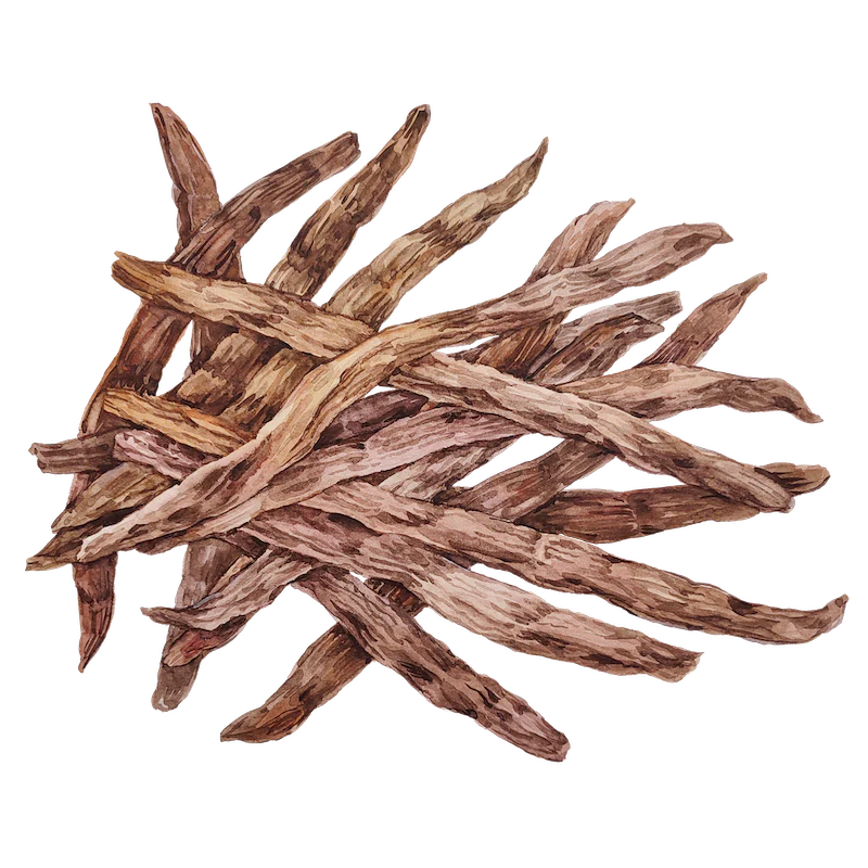 Vanilla